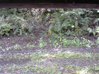 長野県菅平高原 ゆたか山荘 南側 2025/10/02 12:15