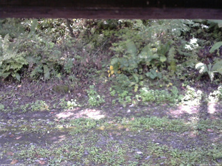 長野県菅平高原 ゆたか山荘 南側 2025/10/02 12:30