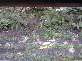 長野県菅平高原 ゆたか山荘 南側 2025/10/02 12:45