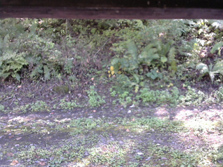 長野県菅平高原 ゆたか山荘 南側 2025/10/02 13:00