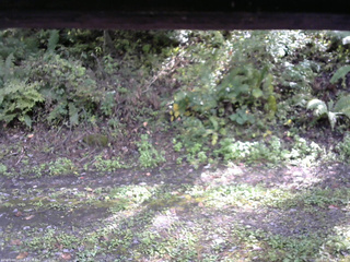 長野県菅平高原 ゆたか山荘 南側 2025/10/02 13:15