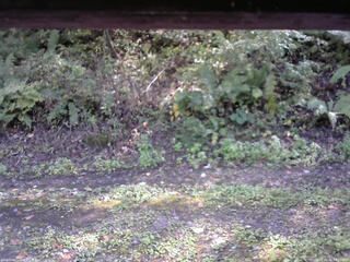 長野県菅平高原 ゆたか山荘 南側 2025/10/02 13:30