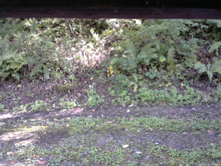 長野県菅平高原 ゆたか山荘 南側 2025/10/02 13:45