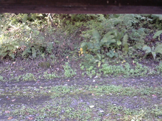 長野県菅平高原 ゆたか山荘 南側 2025/10/02 14:00