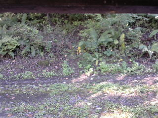 長野県菅平高原 ゆたか山荘 南側 2025/10/02 14:15