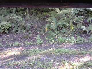 長野県菅平高原 ゆたか山荘 南側 2025/10/02 14:30