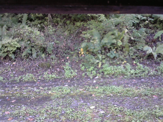 長野県菅平高原 ゆたか山荘 南側 2025/10/02 14:45