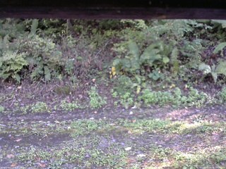 長野県菅平高原 ゆたか山荘 南側 2025/10/02 15:00