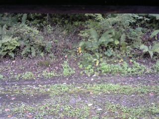 長野県菅平高原 ゆたか山荘 南側 2025/10/02 15:15