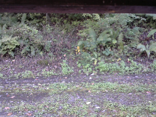 長野県菅平高原 ゆたか山荘 南側 2025/10/02 15:30