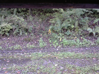 長野県菅平高原 ゆたか山荘 南側 2025/10/02 15:45