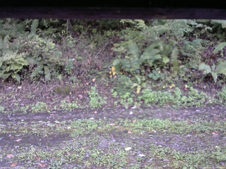 長野県菅平高原 ゆたか山荘 南側 2025/10/02 16:00