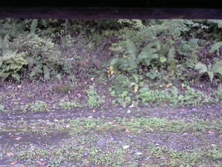 長野県菅平高原 ゆたか山荘 南側 2025/10/02 16:15