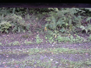 長野県菅平高原 ゆたか山荘 南側 2025/10/02 16:30