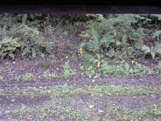 長野県菅平高原 ゆたか山荘 南側 2025/10/02 16:45