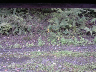 長野県菅平高原 ゆたか山荘 南側 2025/10/02 17:00