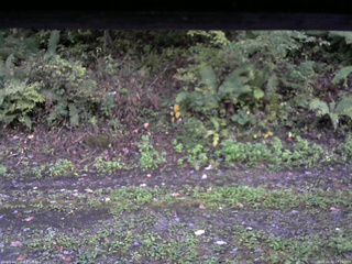 長野県菅平高原 ゆたか山荘 南側 2025/10/02 17:15