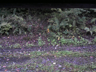 長野県菅平高原 ゆたか山荘 南側 2025/10/02 17:30