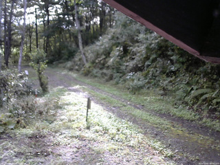 長野県菅平高原 ゆたか山荘 東側(坂下) 2025/10/02 08:00