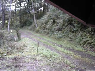長野県菅平高原 ゆたか山荘 東側(坂下) 2025/10/02 08:15