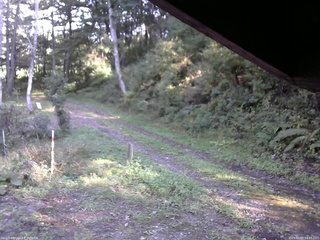 長野県菅平高原 ゆたか山荘 東側(坂下) 2025/10/02 14:45