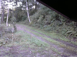 長野県菅平高原 ゆたか山荘 東側(坂下) 2025/10/02 16:15