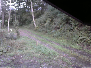 長野県菅平高原 ゆたか山荘 東側(坂下) 2025/10/02 17:15