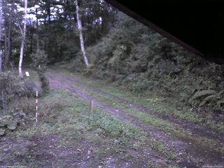 長野県菅平高原 ゆたか山荘 東側(坂下) 2025/10/02 17:30
