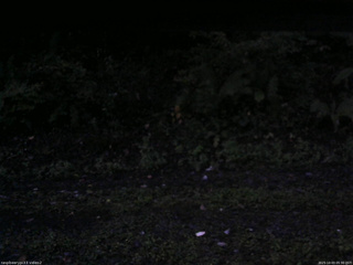 長野県菅平高原 ゆたか山荘 南側 2025/10/03 05:30