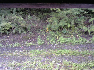 長野県菅平高原 ゆたか山荘 南側 2025/10/03 07:30