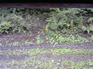 長野県菅平高原 ゆたか山荘 南側 2025/10/03 08:00