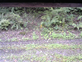 長野県菅平高原 ゆたか山荘 南側 2025/10/03 11:15