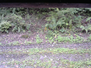 長野県菅平高原 ゆたか山荘 南側 2025/10/03 14:30