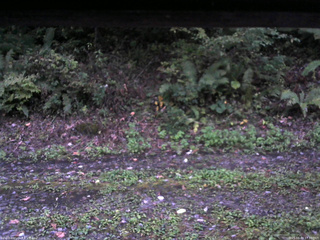 長野県菅平高原 ゆたか山荘 南側 2025/10/03 17:30