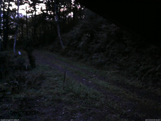 長野県菅平高原 ゆたか山荘 東側(坂下) 2025/10/03 05:30