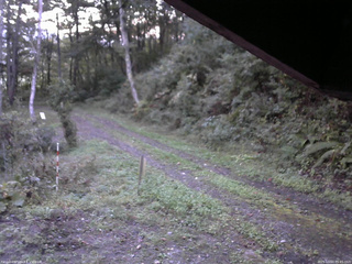 長野県菅平高原 ゆたか山荘 東側(坂下) 2025/10/03 05:45