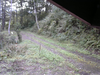 長野県菅平高原 ゆたか山荘 東側(坂下) 2025/10/03 07:15