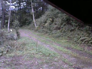 長野県菅平高原 ゆたか山荘 東側(坂下) 2025/10/03 17:15