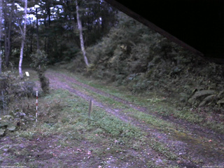 長野県菅平高原 ゆたか山荘 東側(坂下) 2025/10/03 17:30