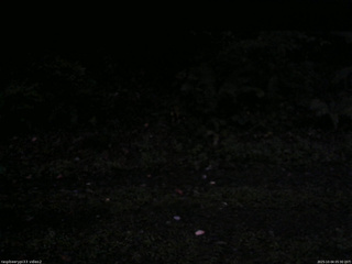 長野県菅平高原 ゆたか山荘 南側 2025/10/04 05:30