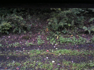 長野県菅平高原 ゆたか山荘 南側 2025/10/04 05:45