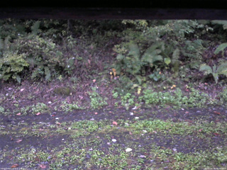 長野県菅平高原 ゆたか山荘 南側 2025/10/04 06:00