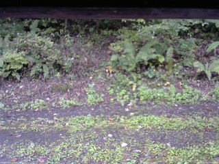 長野県菅平高原 ゆたか山荘 南側 2025/10/04 07:00