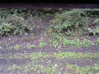 長野県菅平高原 ゆたか山荘 南側 2025/10/04 07:30