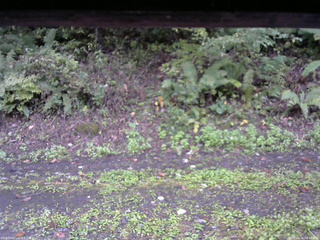 長野県菅平高原 ゆたか山荘 南側 2025/10/04 08:00