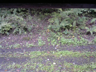 長野県菅平高原 ゆたか山荘 南側 2025/10/04 08:15