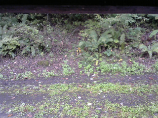 長野県菅平高原 ゆたか山荘 南側 2025/10/04 08:30