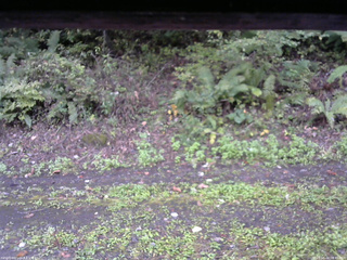 長野県菅平高原 ゆたか山荘 南側 2025/10/04 08:45