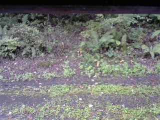 長野県菅平高原 ゆたか山荘 南側 2025/10/04 09:00