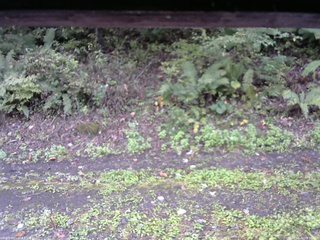 長野県菅平高原 ゆたか山荘 南側 2025/10/04 09:15